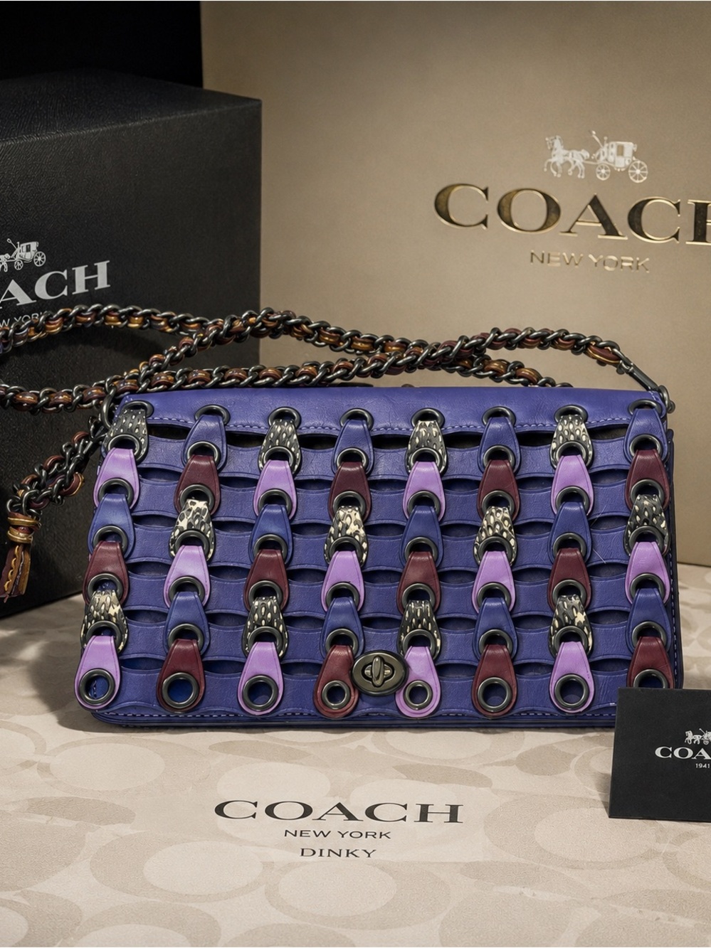 Coach Dinky crossbody bag in glovetanned leather/colorblock links/snake skin